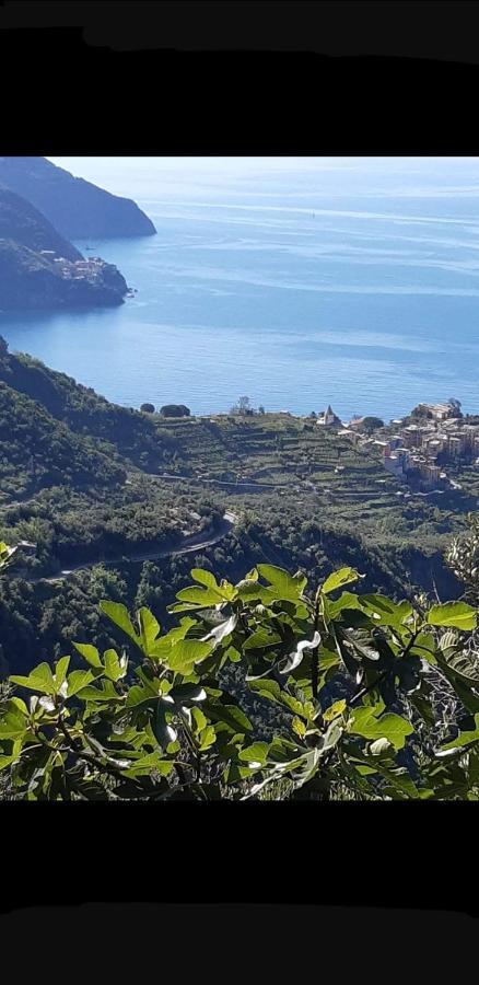 Apartamento Residenza Solferino Corniglia Exterior foto